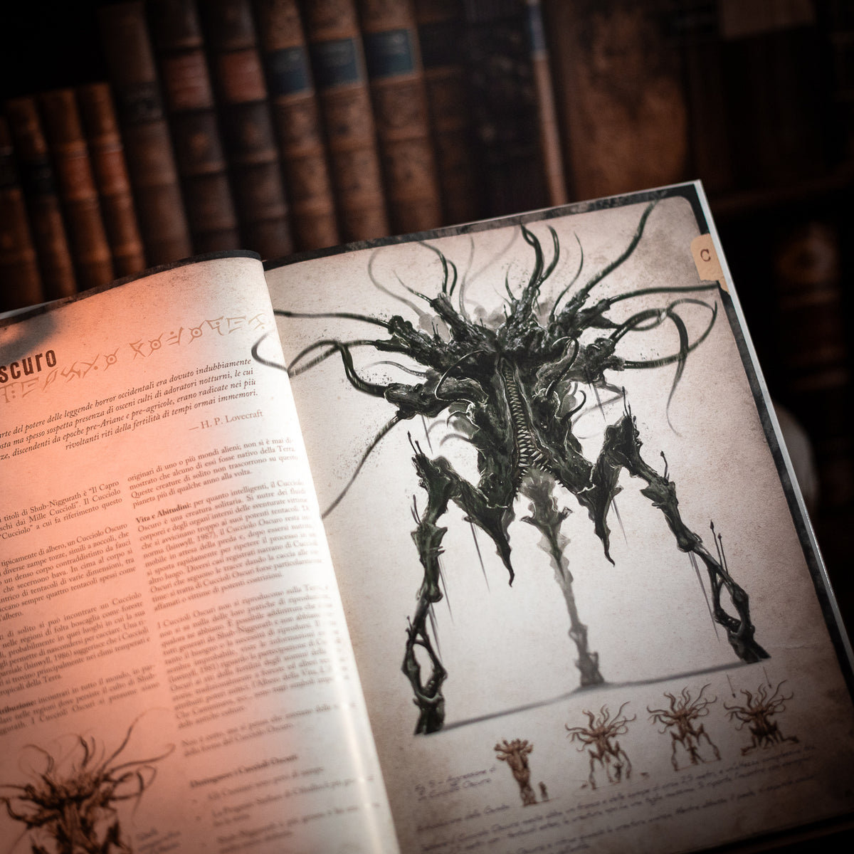 Il Richiamo di Cthulhu - Guida di Petersen agli Orrori Lovecraftiani