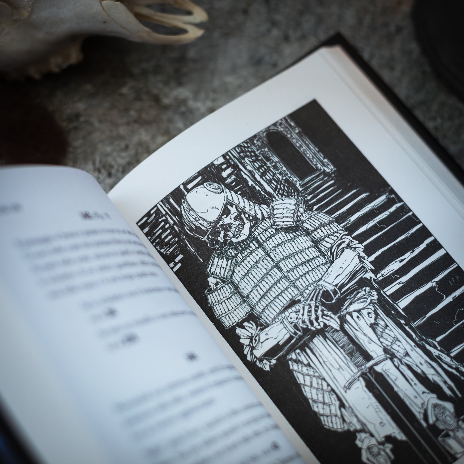 Lupo Solitario Vol.3 - Gli Abissi di Kalte - Edizione Speciale Quarantennale